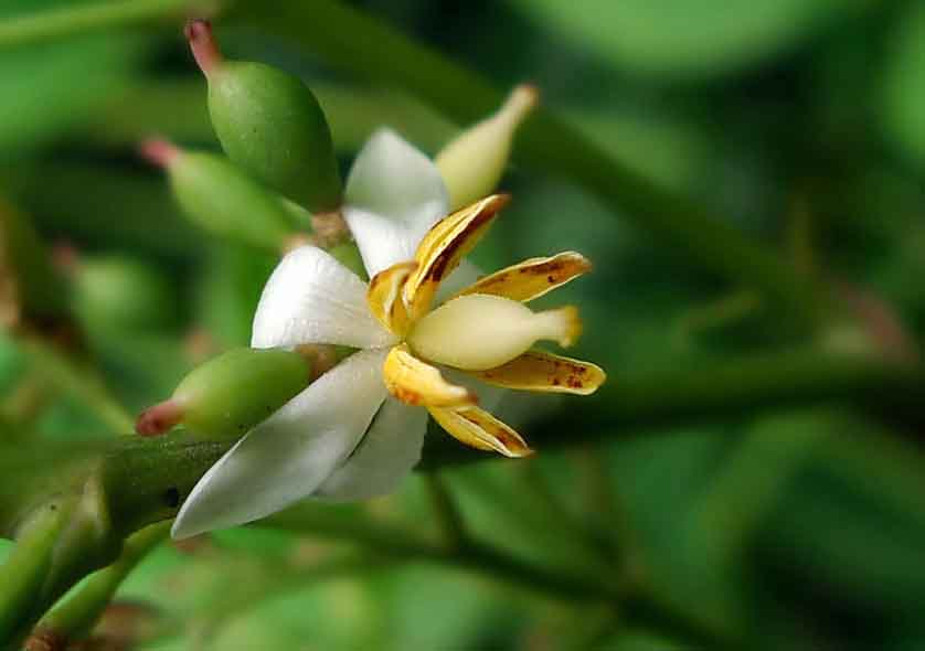 9009396_1435477404041_mthumb.jpg 9009396_1435477404041_mthumb.jpg